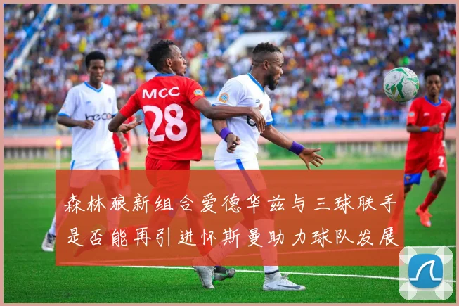 森林狼新组合爱德华兹与三球联手是否能再引进怀斯曼助力球队发展